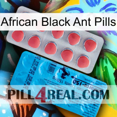 African Black Ant Pills new14